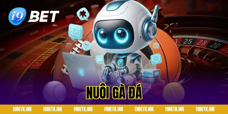Nuôi gà đá